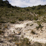 Rivière intermittente méditerranéenne